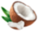 HIT kokos