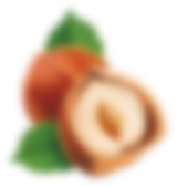 HIT orzech